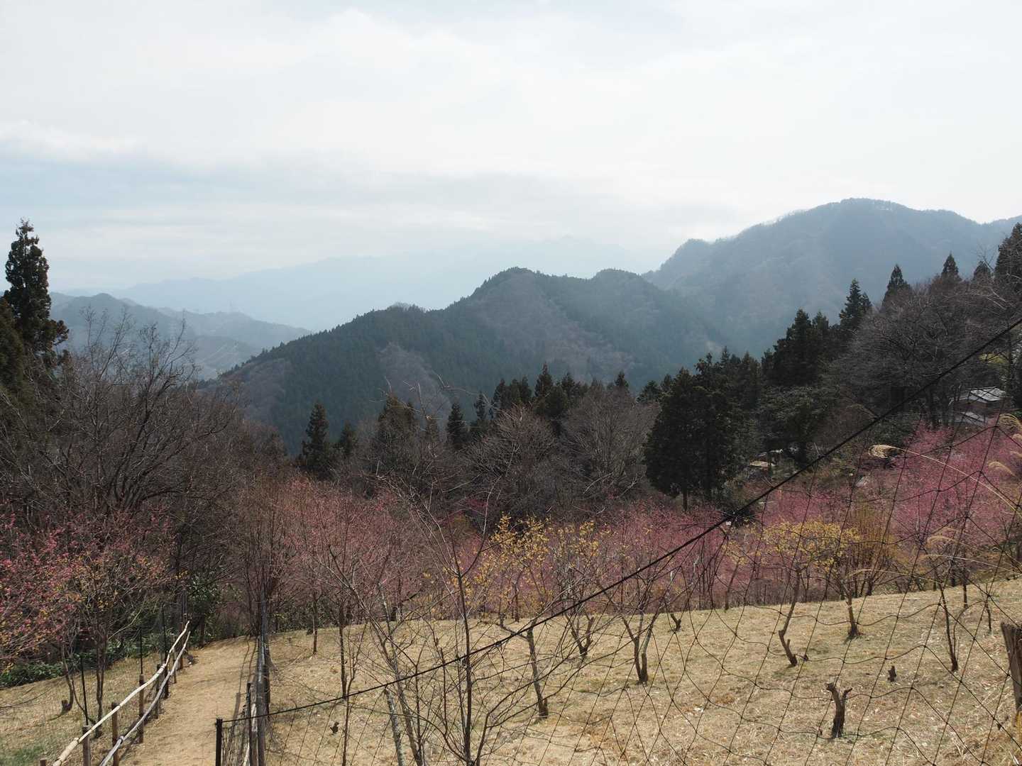 少し登って登山道を行きます