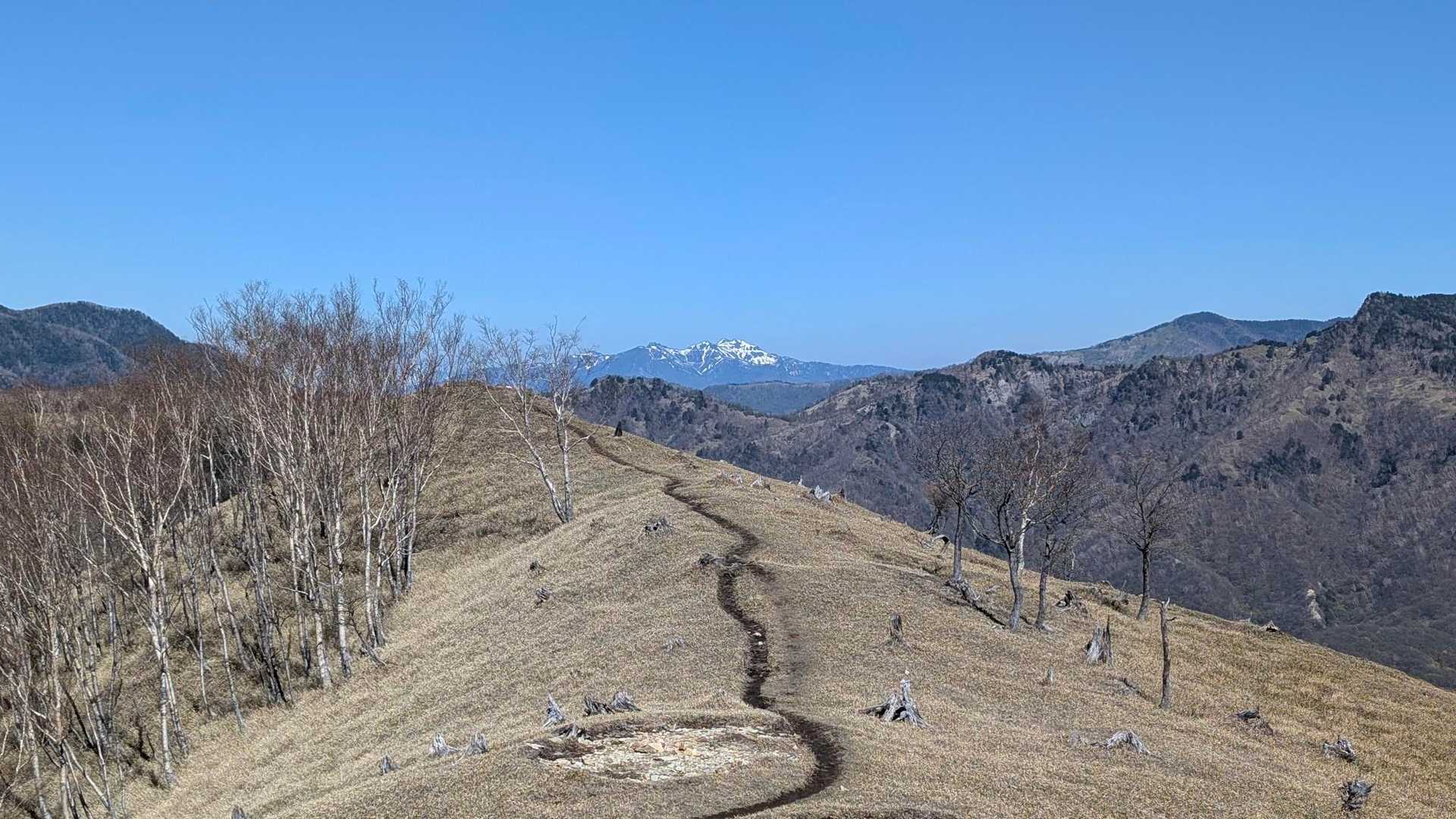 公園入口バス停-中倉山登山口-中倉山-沢入山-オロ山 周回コースの写真