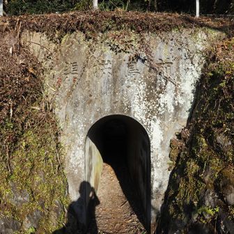 ここを通ります