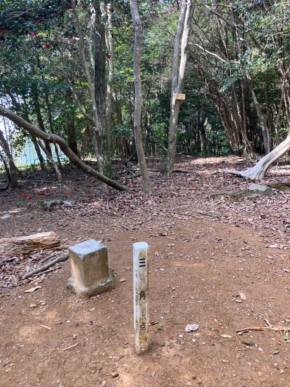 金山の写真