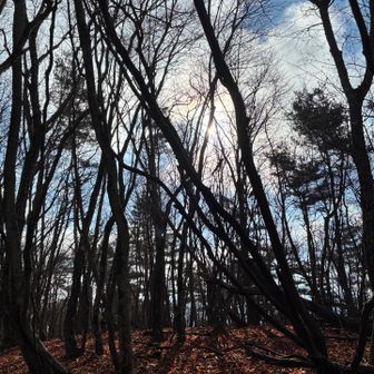 今日はずーっとこんな感じの所を8時間歩いてたw