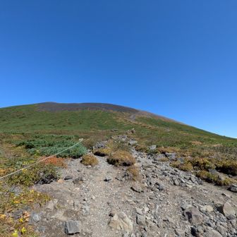 正面の山頂を目指します
(ここから岩手山の山頂は見えてません)