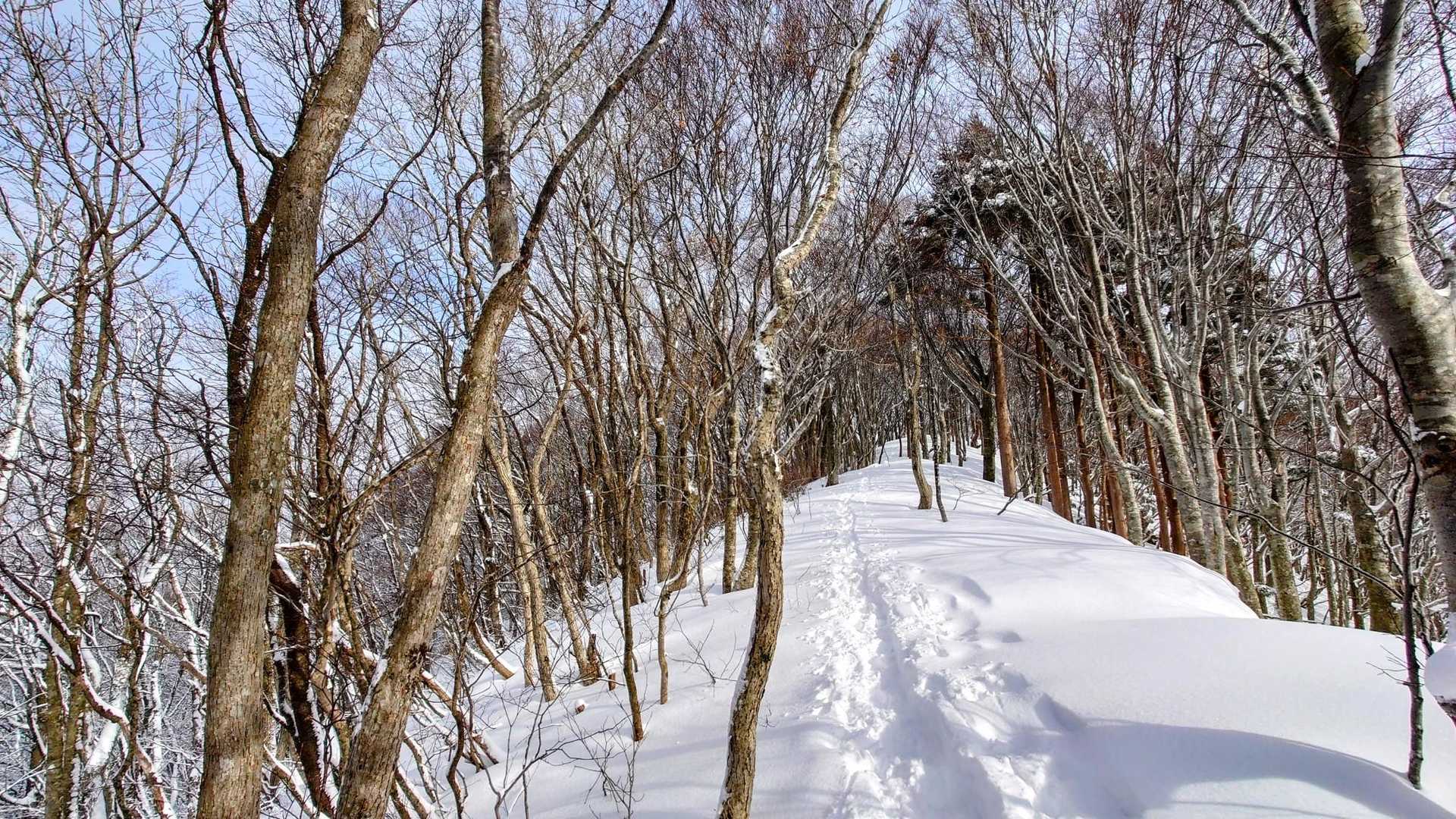 女人堂-前岳 往復コースの写真
