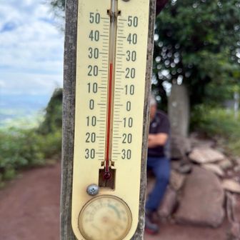 25℃　適度な風が気持ちいい