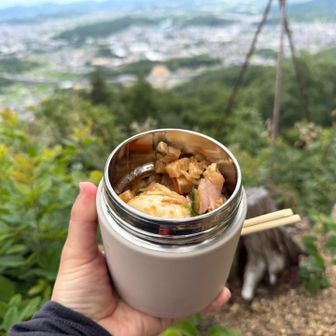 私は家にあった野菜と🥚を乗せてお気に入りのプチっとうどん　すだちおろしをかけてます。
映えてないけど、お腹に入ればみな同じっ😋
