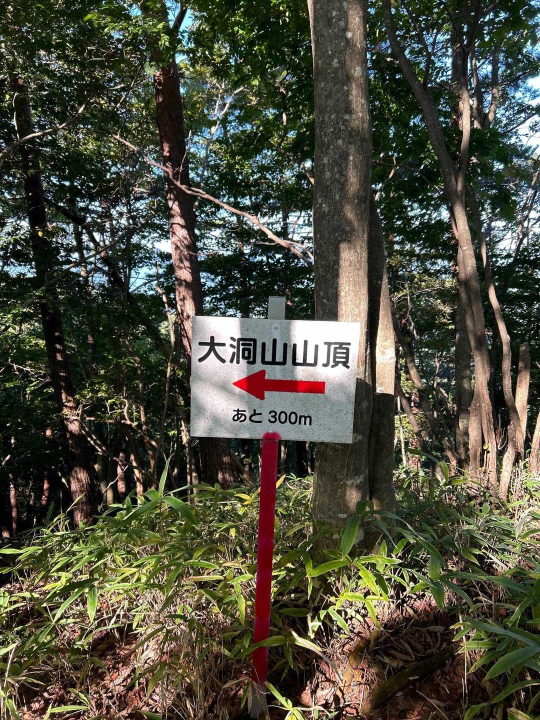 立派な看板あるんですが、あまり踏まれてない場所もあり、相談しながら進みます。
