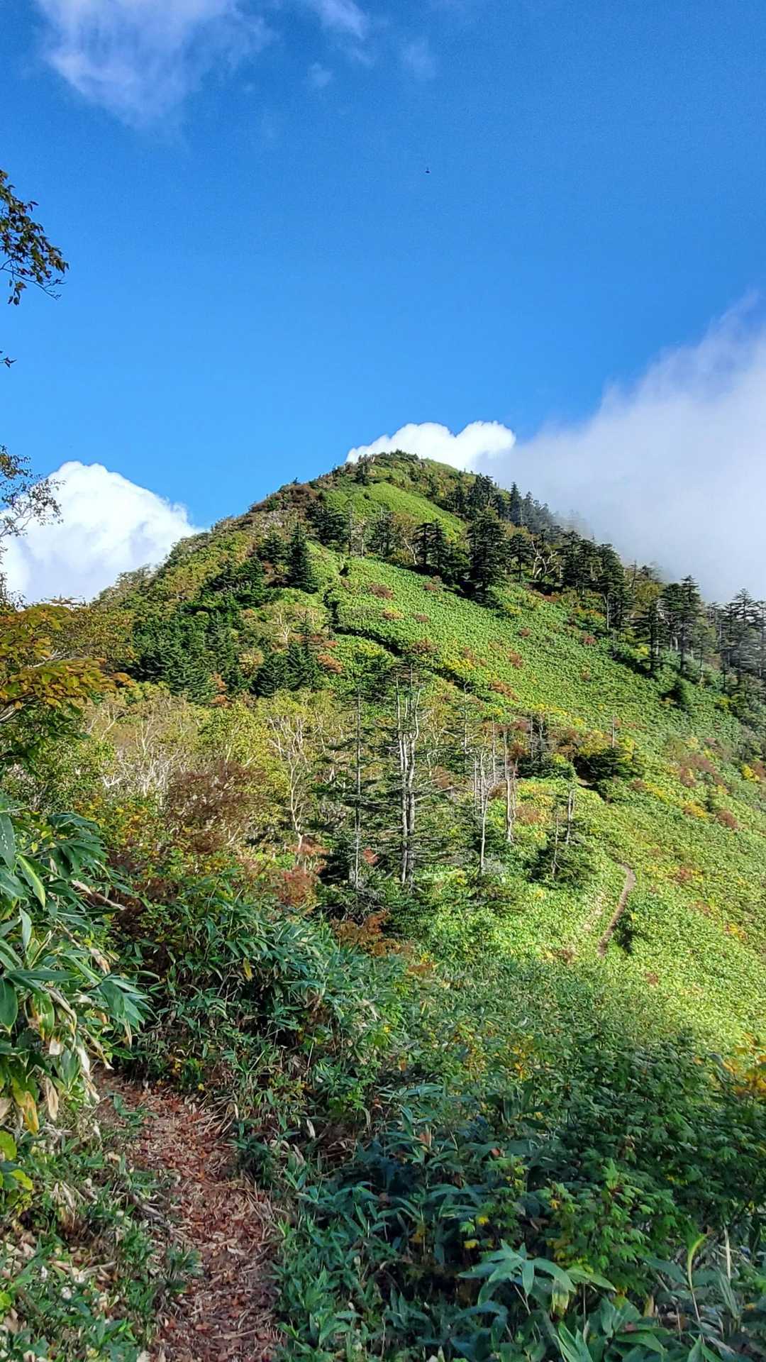 稜線（外輪山）歩く道がイイ感じ🎵
