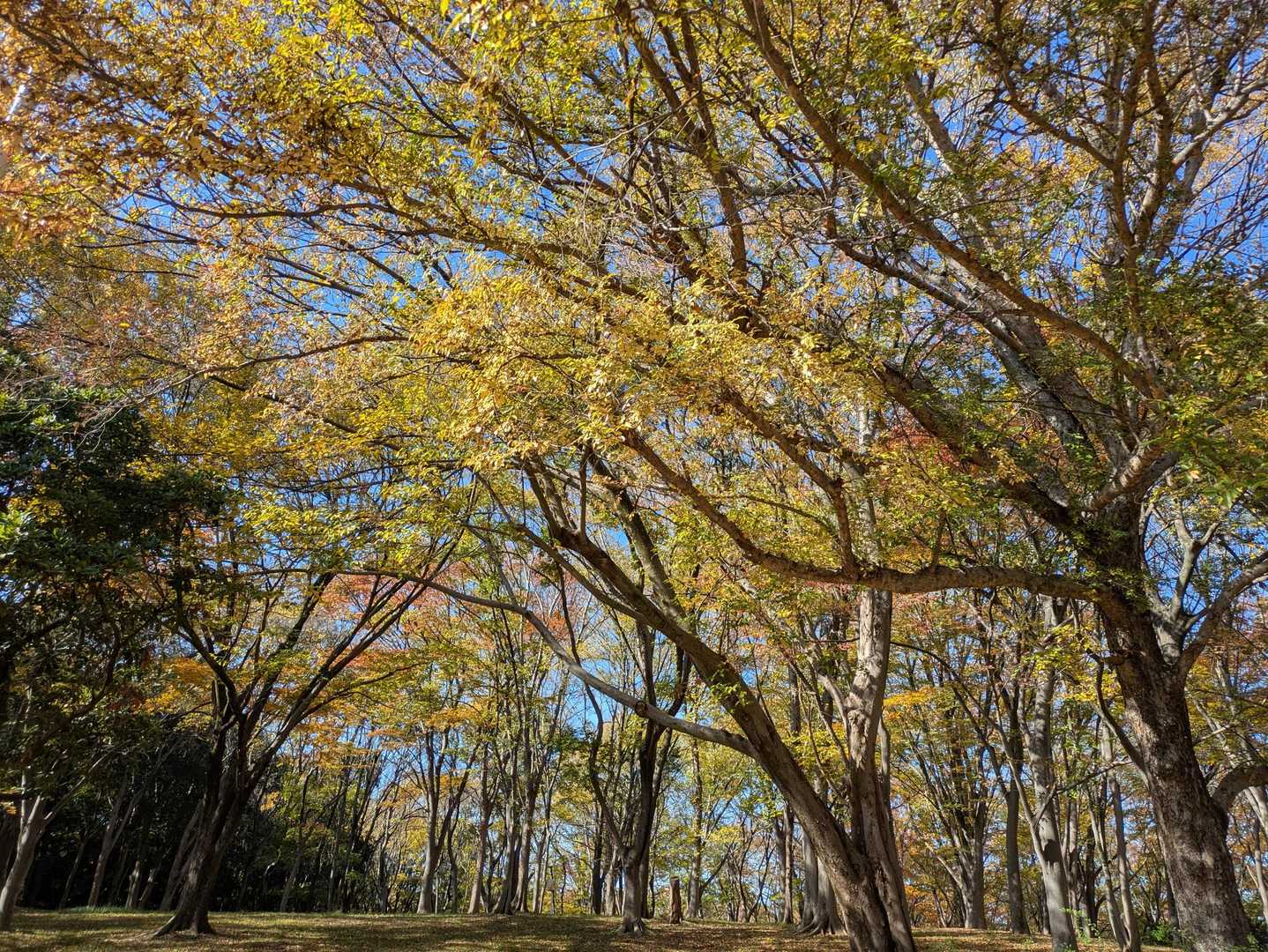 写真映えするスポットも数々あるのですが、何せ軌跡を外すことが出来ません。何とか映え写真を撮りながら…
