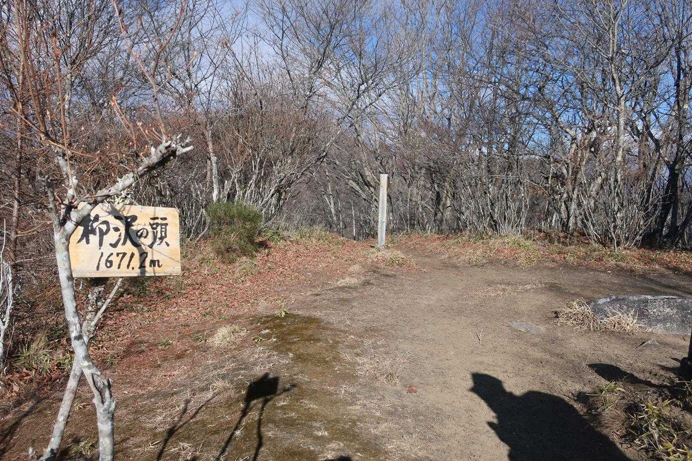 30分ほどで柳沢ノ頭に到着。特に眺望はありません。