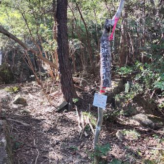 正面口からは林道→側道歩いて駐車スペースへ。