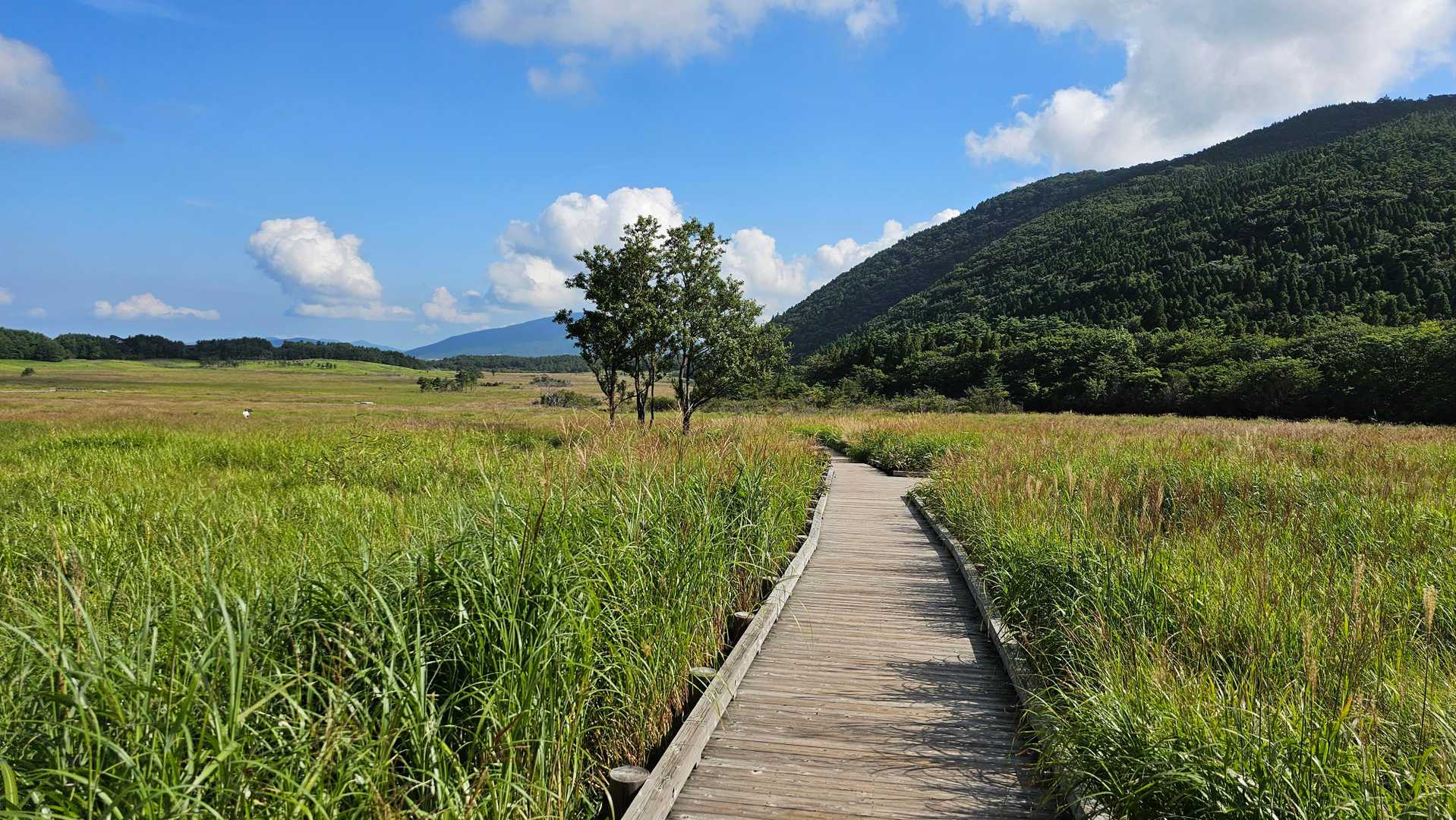 くじゅう登山口バス停-指山 周回コースの写真