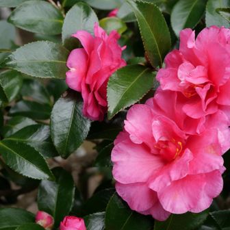 これもまたキレイ😍