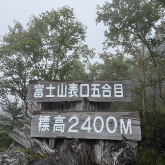 下山時に急に霧雨🌧️
明日は晴れて、登ってる皆さんが良い景色を見られますように。
お疲れ山でした🗻