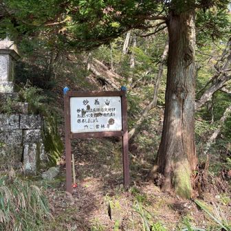 一本杉で休憩