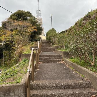 島内唯一の🟢Peekの岳の辻へご案内