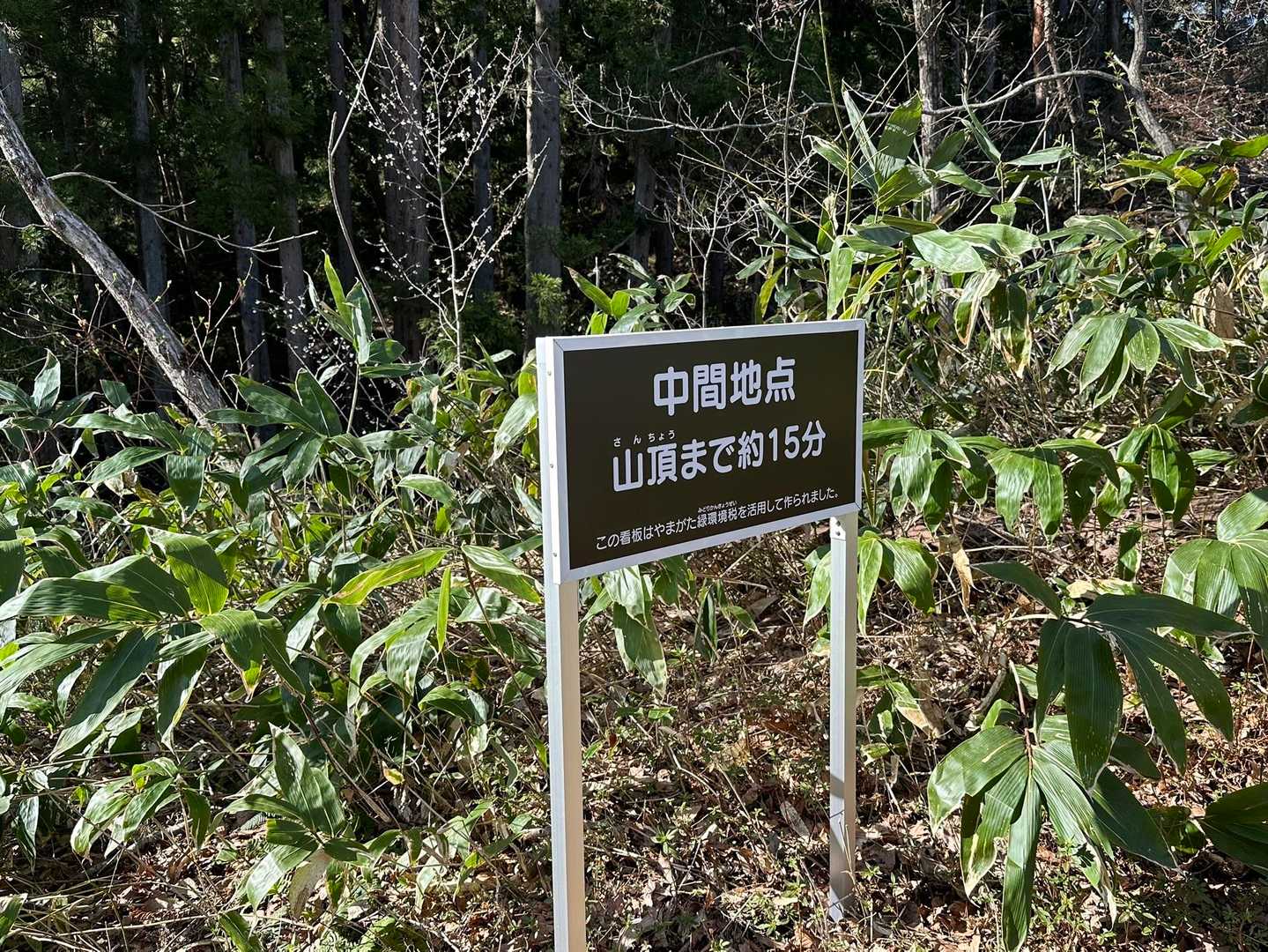 すぐに中間地点に到達