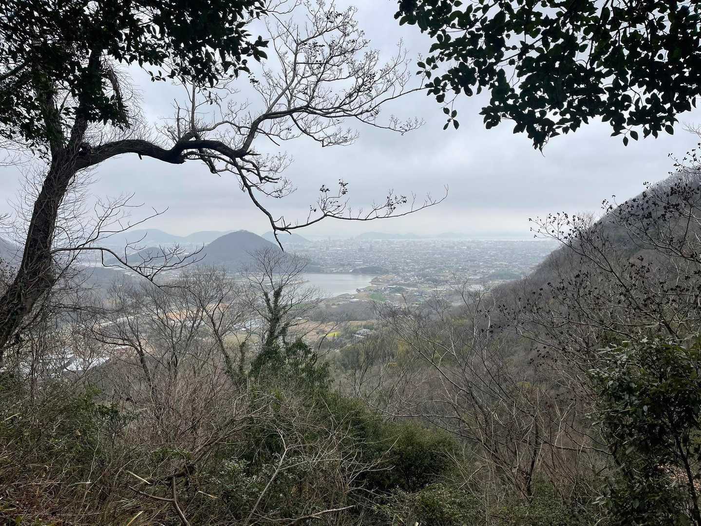 雌上佐山より
