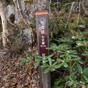 七合目から登って行きます。
これから黒戸尾根の本当の急登に挑みます！
