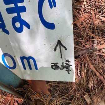 一応100メートルルールでマークされていますが
行きます