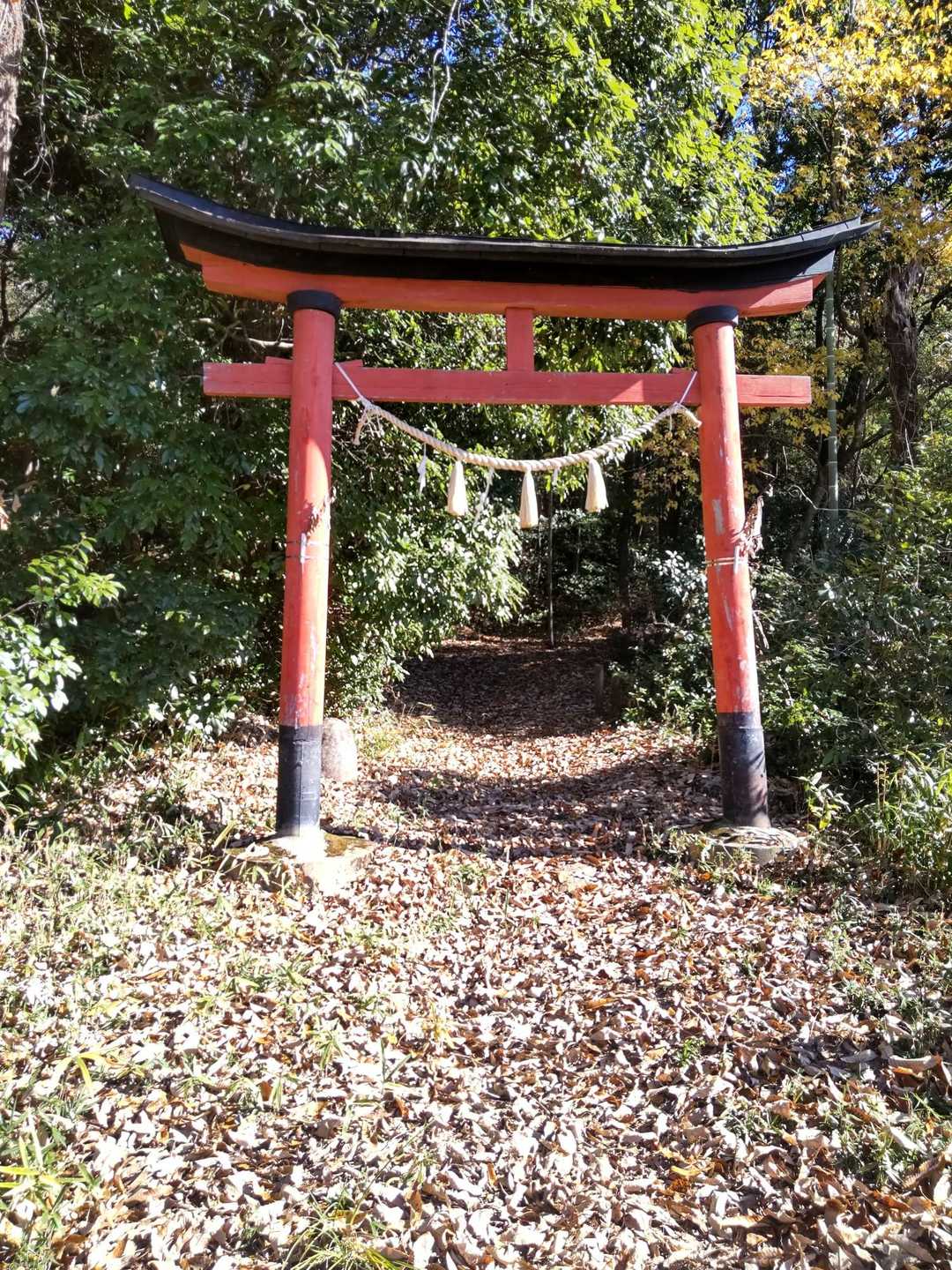もう1つの登山口に着❗️