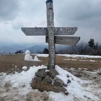 雪の国に帰っちゃった〜❄️