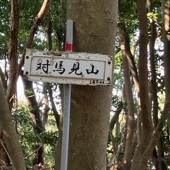 対馬見山

おっ対馬を見るお山かな？
先端に行って見て来ましたけど、きっと対馬は見えないでしょっていうレベルでした。流石、アフリカの4.0の視力でも見えないでしょ

もしや？黄砂の影響？違うチガウ💦