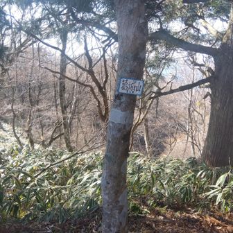 三角点ないなあ、ヤマップで他の方の活動日誌見ればわかるけど、まあいいか