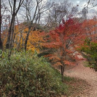 そろそろ山頂ですね