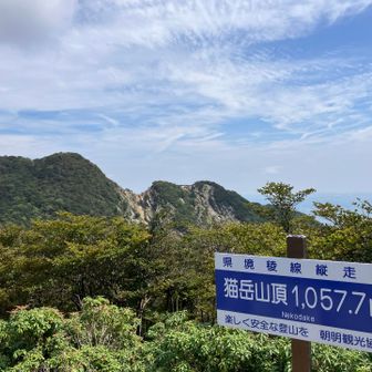 猫岳到着🐱
