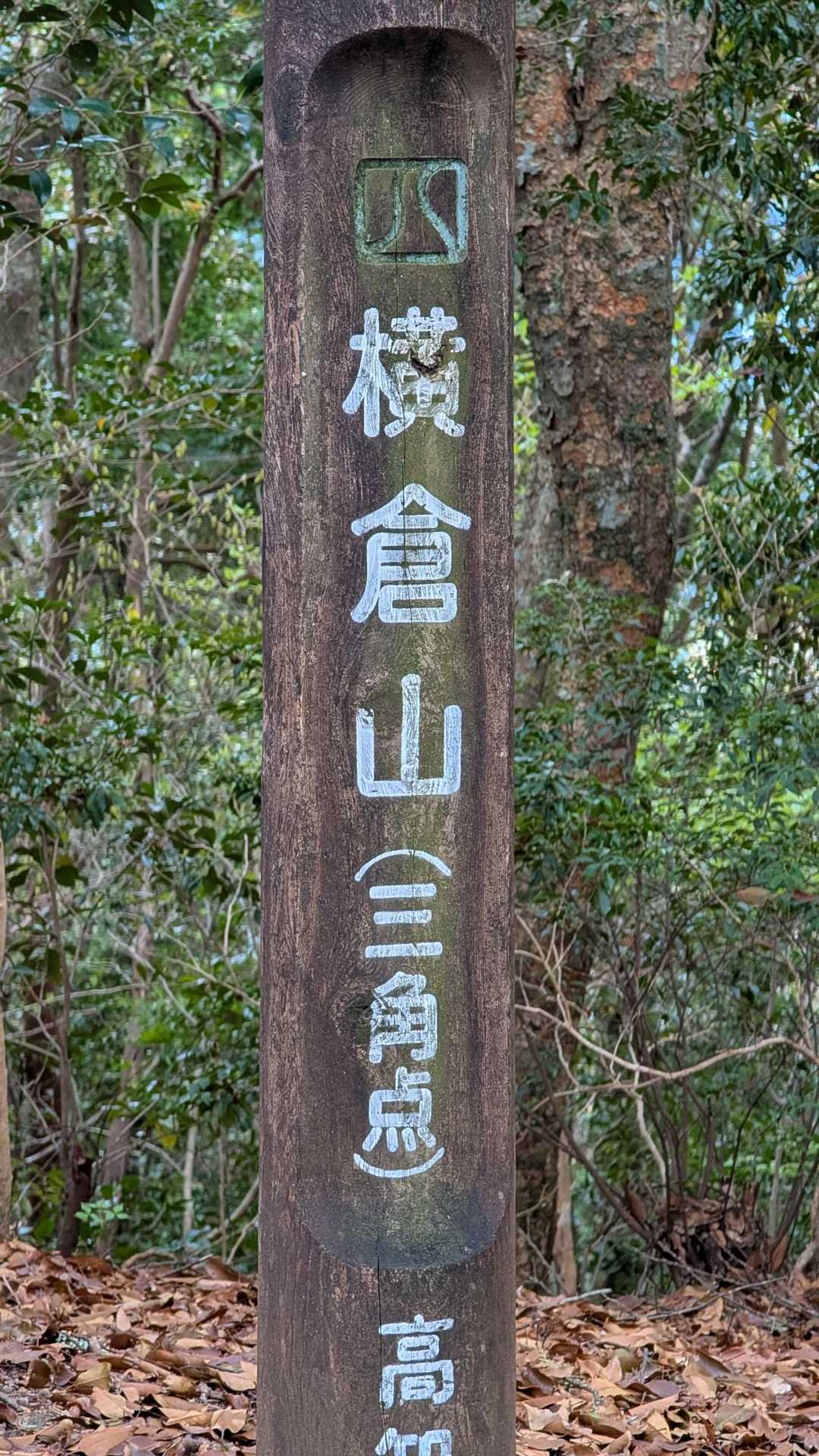 山頂横倉山