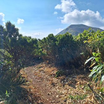 分岐曲がると余市岳見えてきた