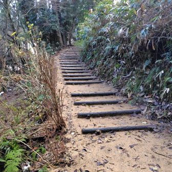 きれいに整備されていた!!