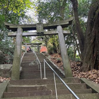 大正時代の鳥居⛩️周りは鬱蒼とした原生林・・・歴史を感じる🧐