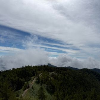 小雲取山方面、だいぶ雲が上がって来た。
もう少ししたら下山。