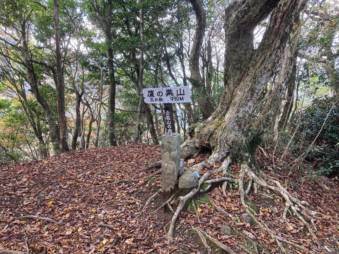 鷹ノ巣山登頂