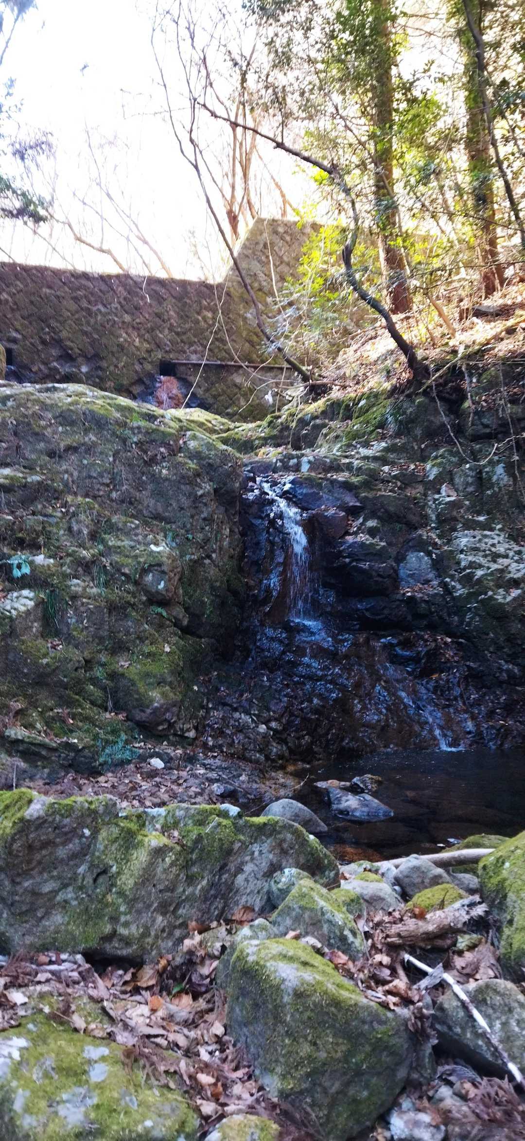 四辻峠-雨乞岳-烏帽子岳-鎧ヶ岳-日平山 周回コースの写真