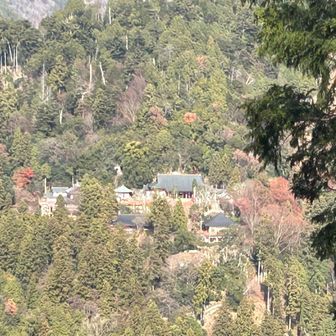 鞍馬寺を見下してピストン。以上です。