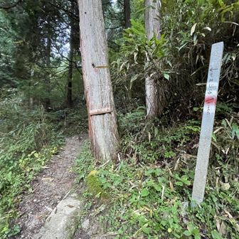 いつもの如く『もみじ谷』へ