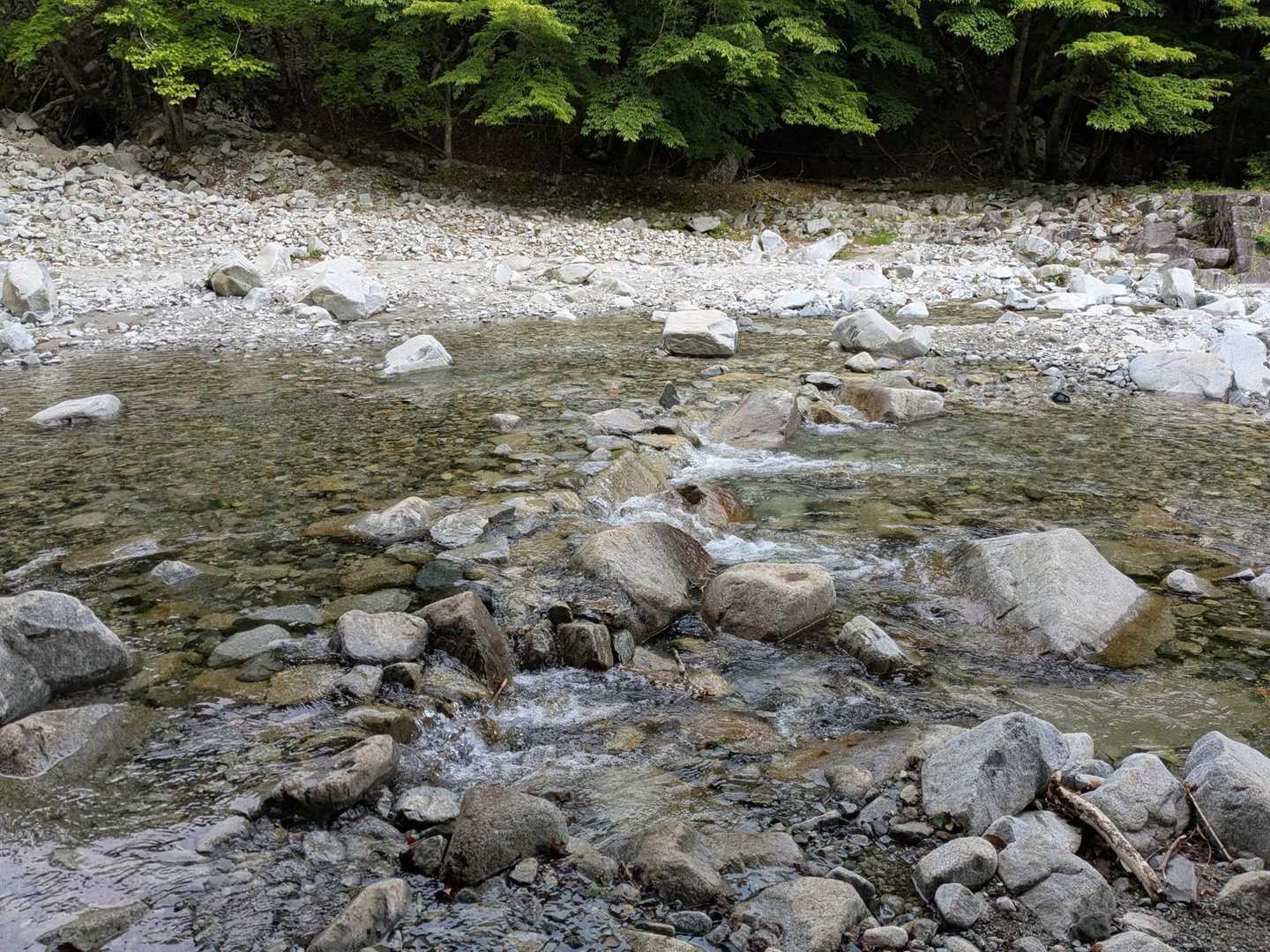 ドボンしませんでしたよ〜👍
