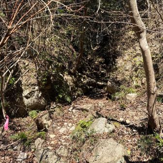 渡渉直ぐを登っていきます
ここ急な所で、手袋必要👍