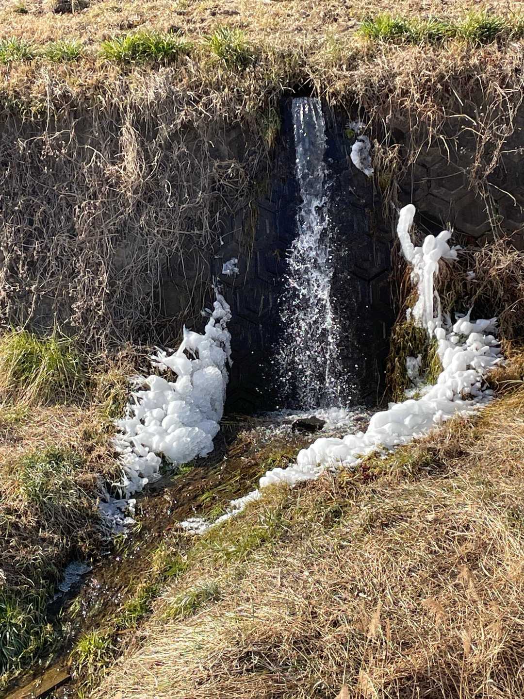 松倉山 往復コースの写真