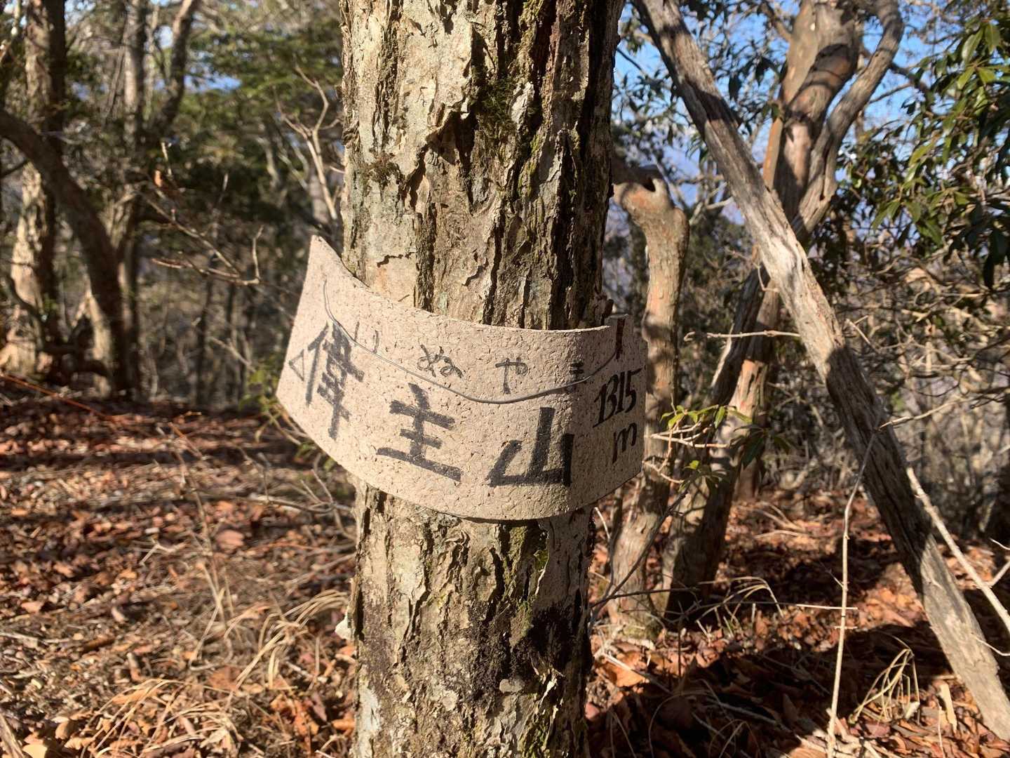 パノラマ台下バス停-パノラマ台入口-根⼦峠-パノラマ台-精 周回コースの写真