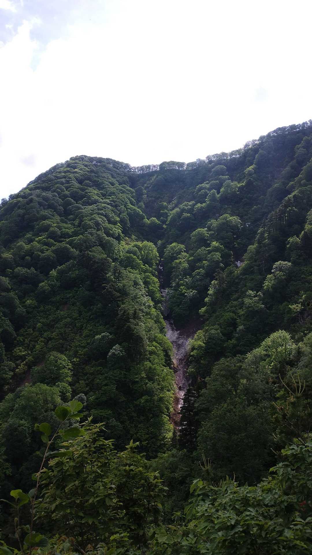 山頂あれかな