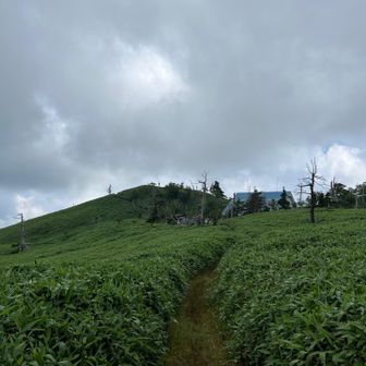 おっと、道 間違えた💦
