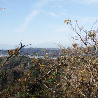富士山も見えます。