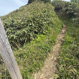 「鬼の…？面岩…？」看板の文字解読できなかった