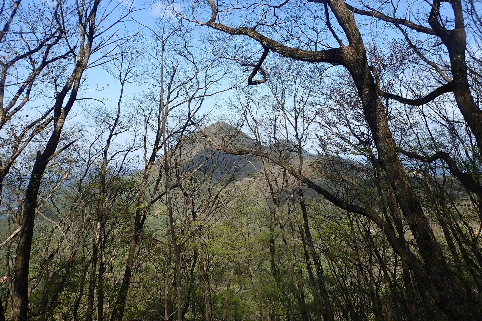 先ほど歩いた東・西御荷鉾山が木々の間から見える