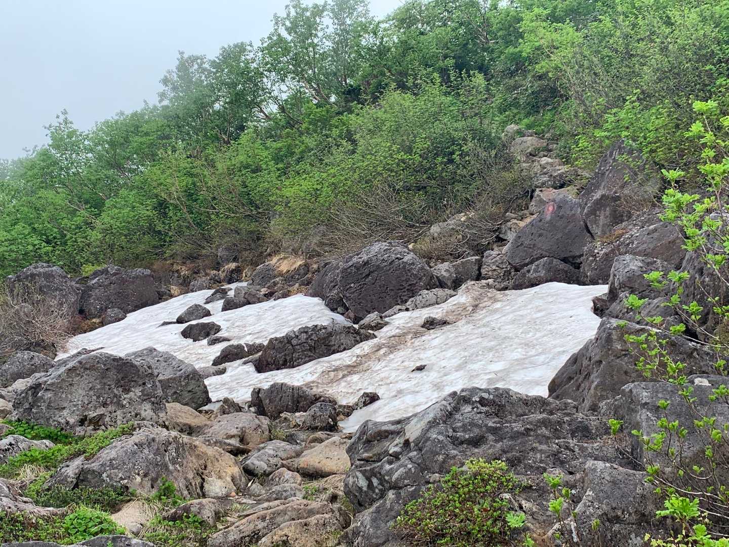 栂池自然園の登山口 往復コースの写真