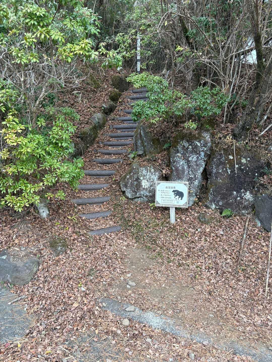 げざん