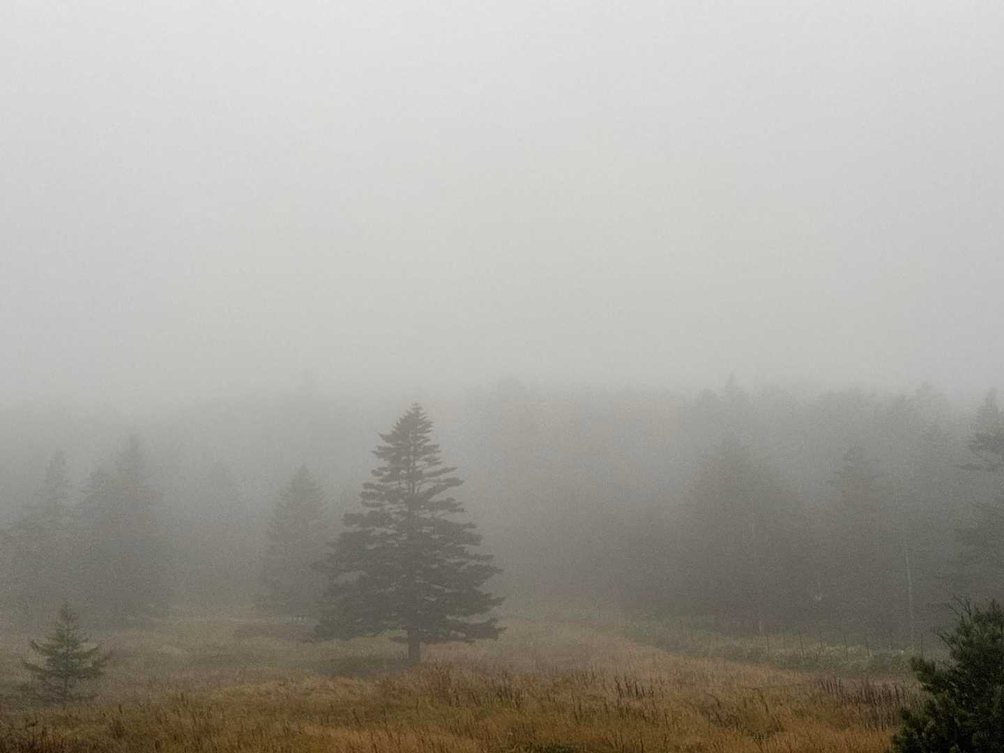 真っ白☁️